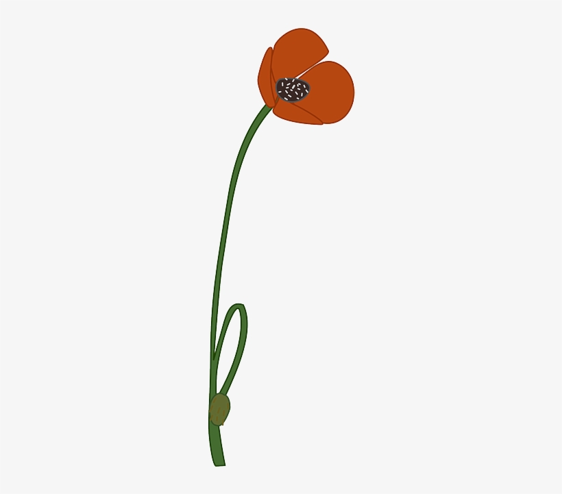 Poppy, Flower, Bloom, Red, Blossom, Plant - Poppy Clipart, transparent png #1898970