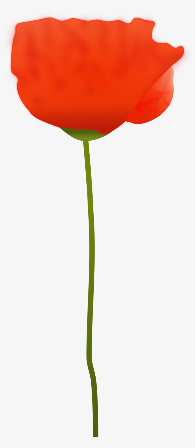 This Free Icons Png Design Of Poppy Flower, transparent png #1899290