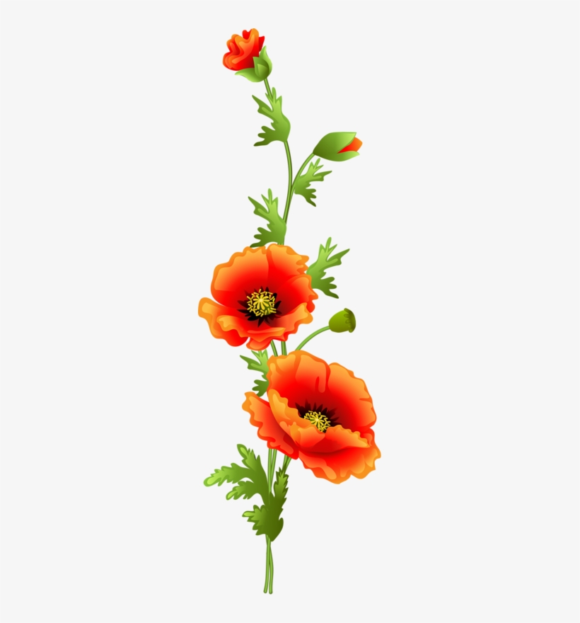 Фотки Watercolor Flowers, Watercolor Art, Decoupage, - Poppy Vine Clip Art, transparent png #1899710