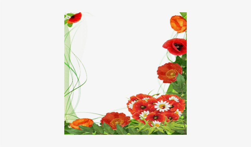 Poppy Flower Frame - Transparent Poppies Frame Png, transparent png #1899739