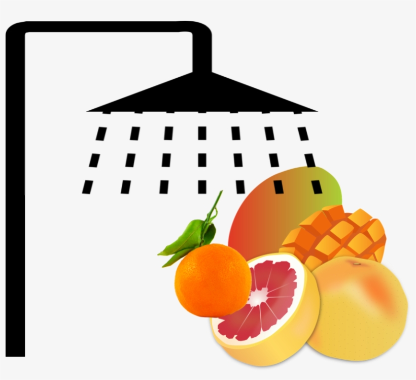 Banner Black And White Oranges Clipart Shooting Star - Custom Grapefruit Shower Curtain, transparent png #190090