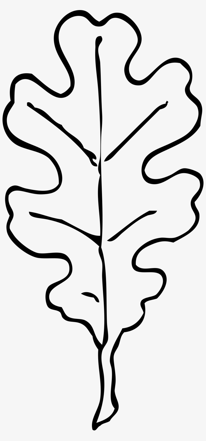 Drawn Leaves Leaf Border Png - Oak Leaf Clip Art Black And White, transparent png #190114