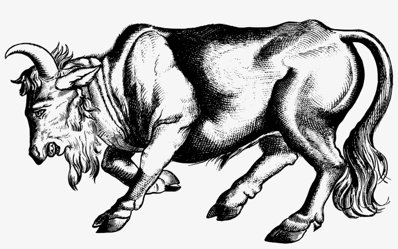 This Free Icons Png Design Of Enraged Bull, transparent png #190156