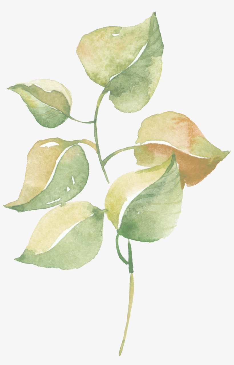 Watercolor Greenery Png Vector Download - Lavender Flower Watercolor Poster Print Wall Art Home, transparent png #190206