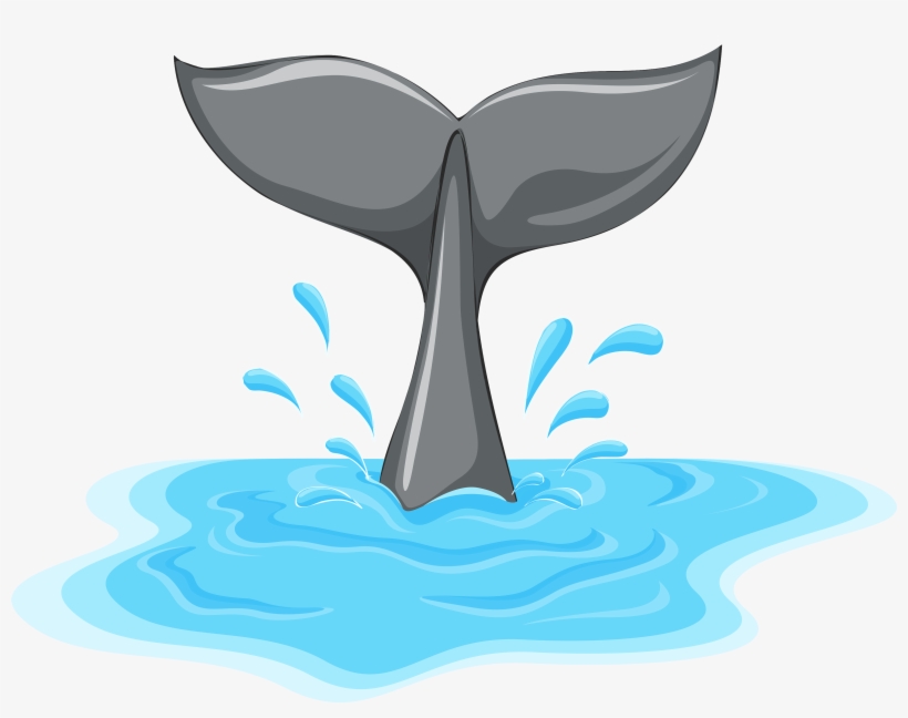 Whale Tail Png Clipart - Cola De Ballena Dibujo, transparent png #190286