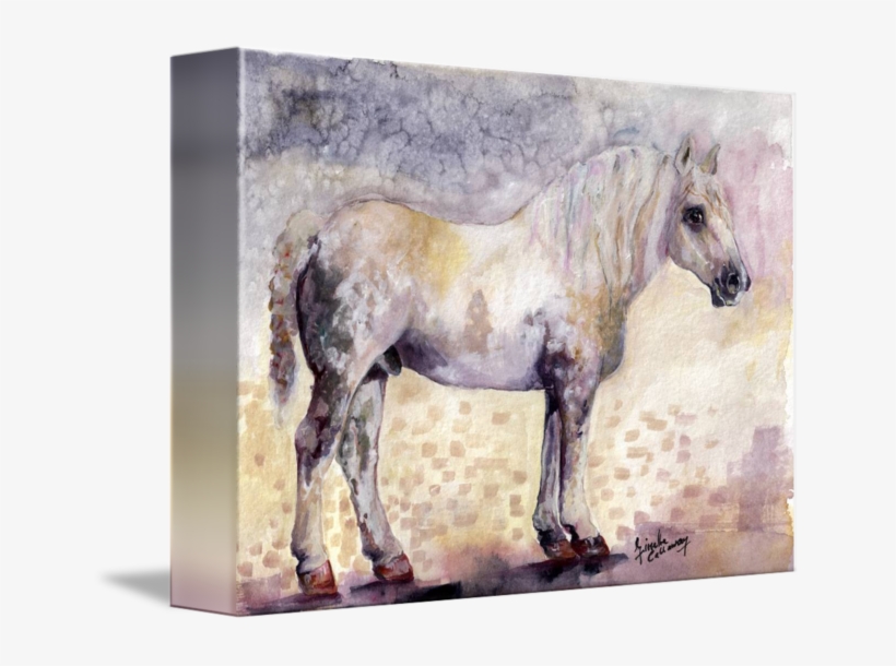 Transparent Horses Watercolor Vector Library - Percheron, transparent png #190845