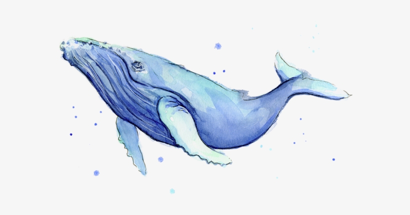 Click And Drag To Re-position The Image, If Desired - Whale Art, transparent png #190983