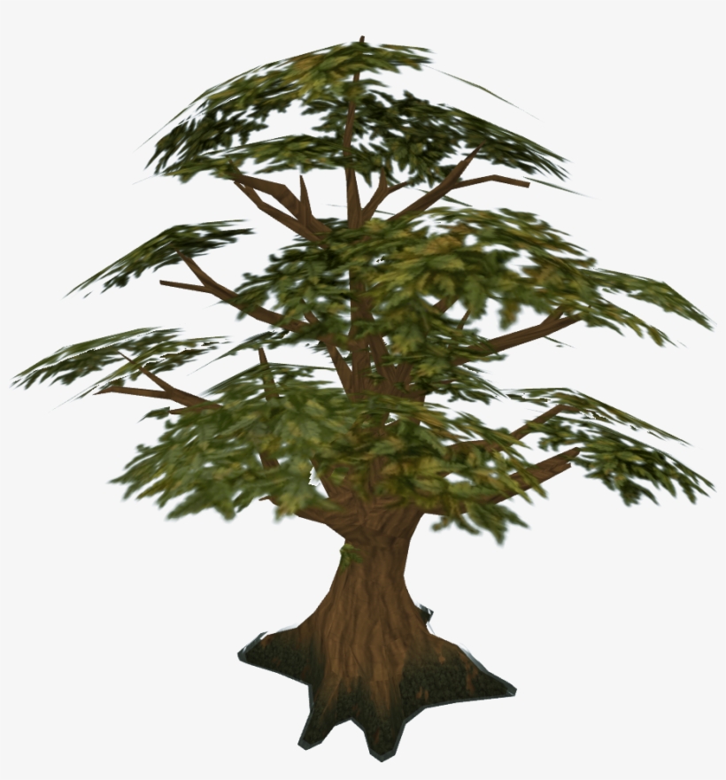 Svg Transparent Stock Bonsai Drawing Windswept Tree - Oak Tree Runescape, transparent png #191097