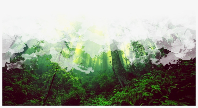 Companions Granted By Various Spells Do Not Come Along - Old-growth Forest, transparent png #191168