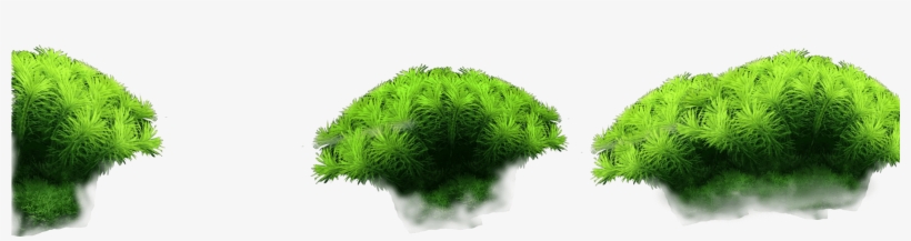 Parallax-plants - Aquarium, transparent png #191534