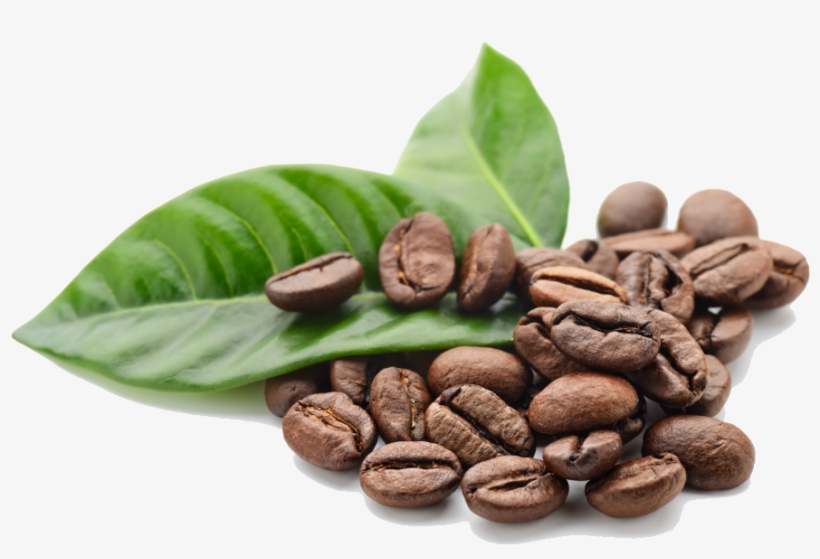 Home » Dramanti Home » Coffee Beans Free Png Image - Coffee Beans With Leaf, transparent png #192514