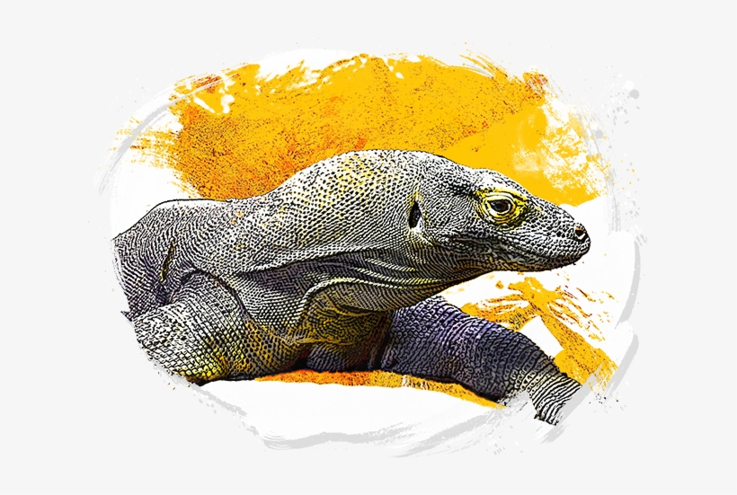 Komodo-watercolor - Komodo Energy Drink, transparent png #192780