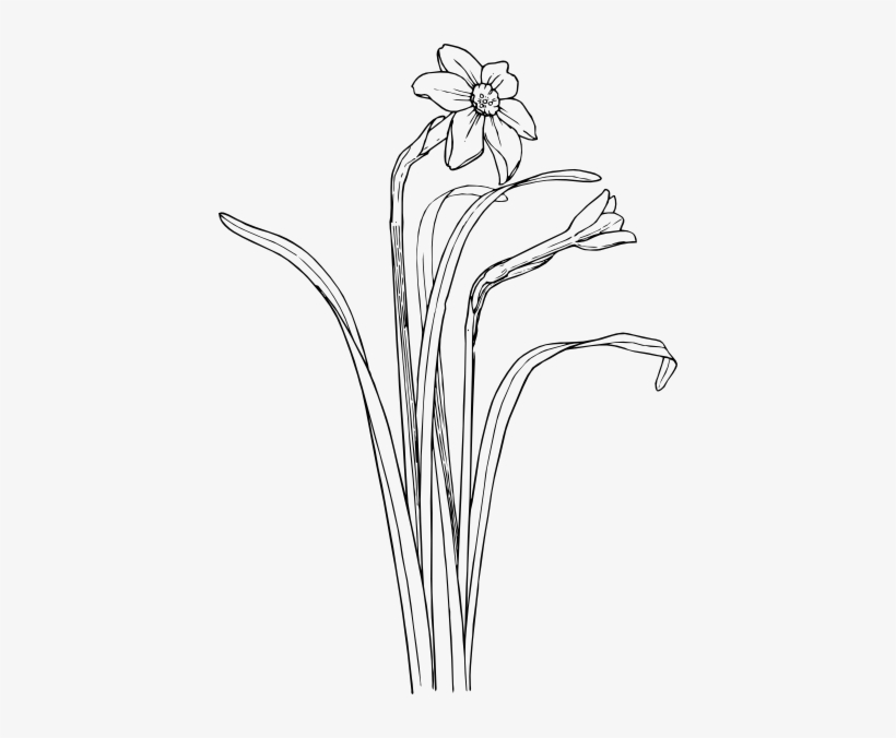 Flower Plant Stem Bush Svg Clip Arts 420 X 596 Px, transparent png #193613