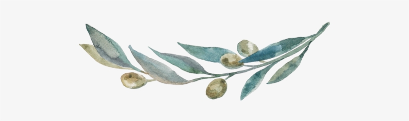 Olivebranch, transparent png #193700
