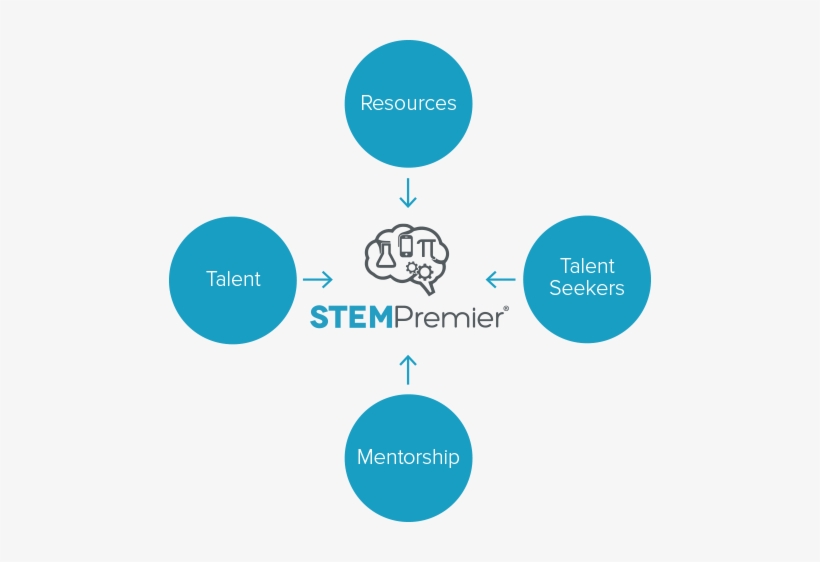 Gfx-aboutstem - Stem Premier, transparent png #193748