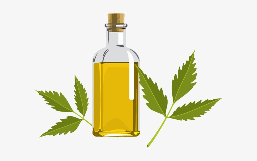 Lightbox Moreview - Neem Oil, transparent png #193875