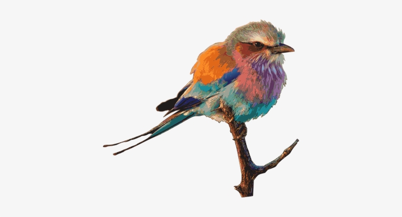 Tags - - Extra Long Fabric Bath Shower Curtain With 12 Hooks, transparent png #194247