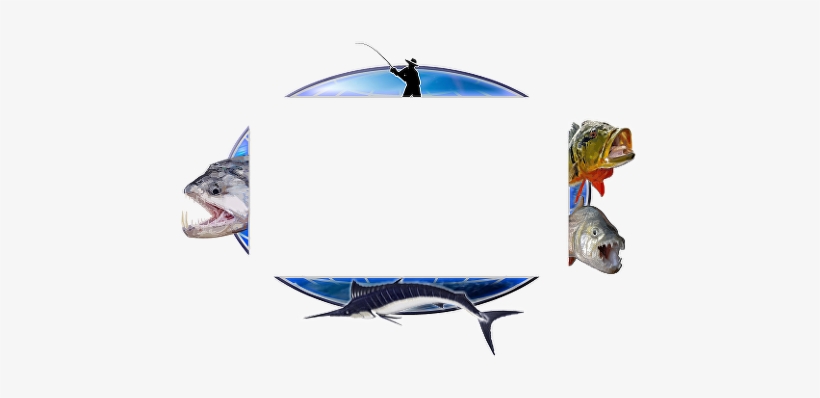 The Best Description For This Type Of Fishing In Papua - Alligator Gar, transparent png #194392