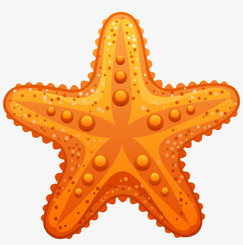 Transparent Starfish Png Clipart Image - Starfish Clipart, transparent png #194447
