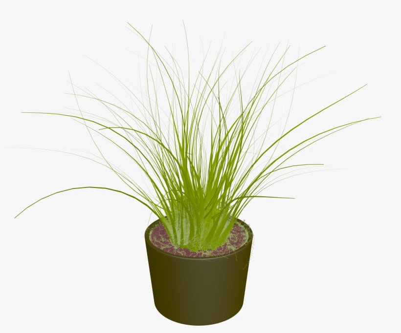 Cartoon Potted Plants, Gardening, Plant, Leaf Png Image - Sweet Grass, transparent png #194708