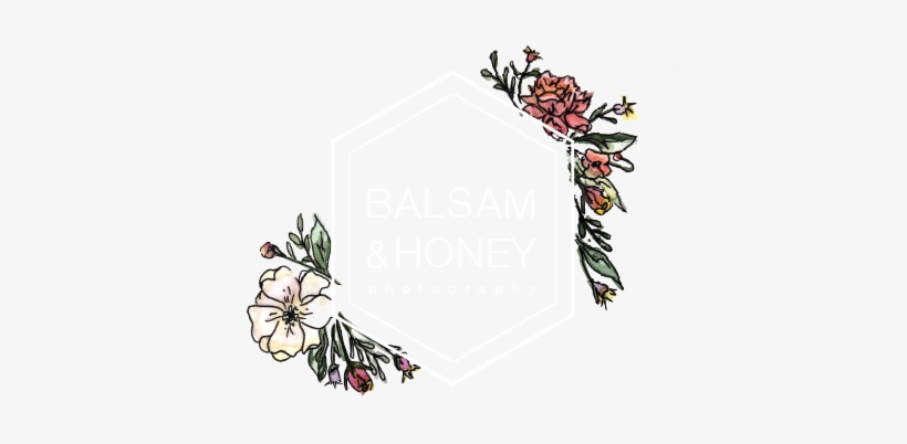 Photography, transparent png #195466