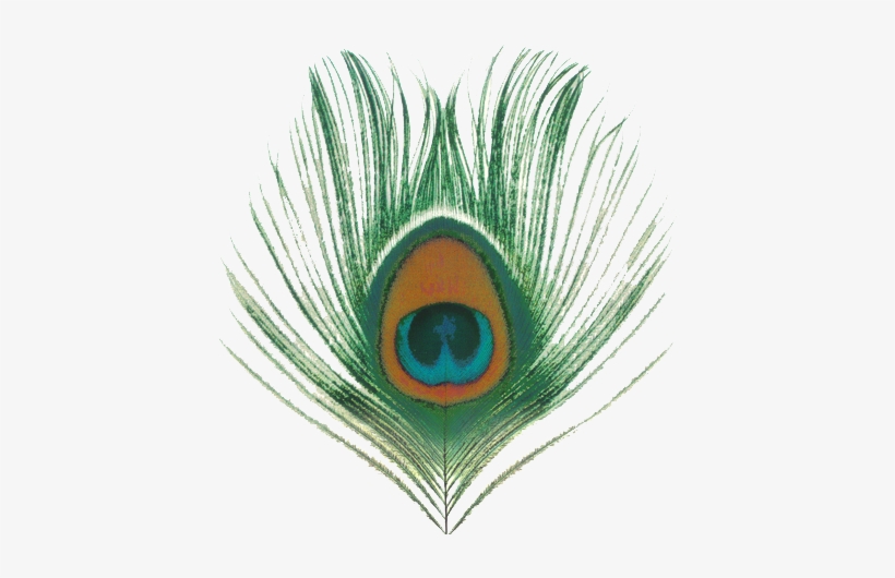 Peacock Feather Free Png Image - Peacock Feather Png File, transparent png #195943