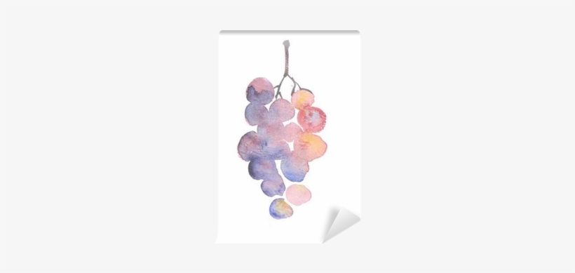 Rosy Grape Watercolor Sketch - Grape, transparent png #196165