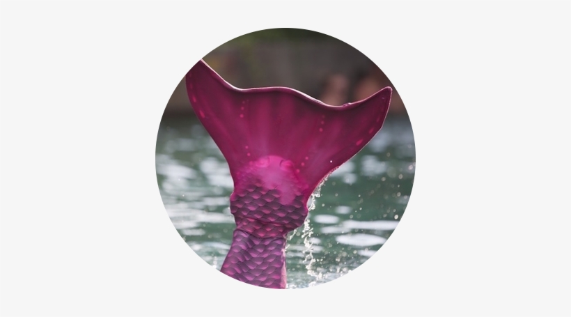 Making Your Mermaid Dreams Come True With Swimmable - Primärenergieverbrauch In Deutschland 2011, transparent png #196234