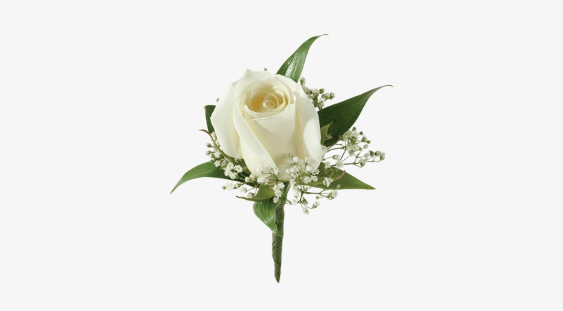 White Rose Boutonniere - Boutonnière, transparent png #196446