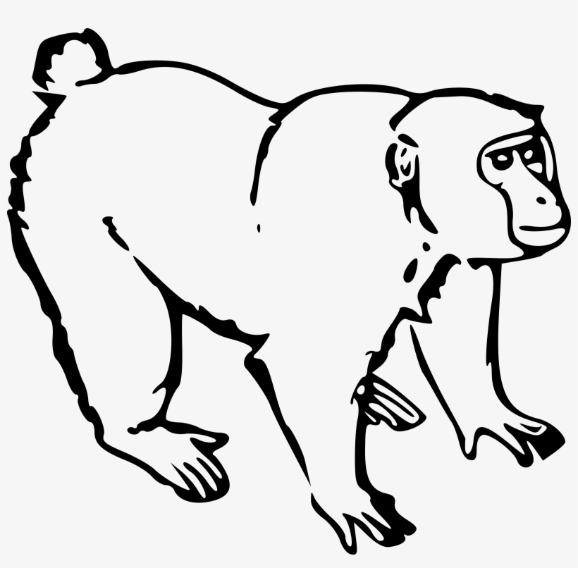 Gorilla Ape Big Image Png - Baboon Mugs, transparent png #196762