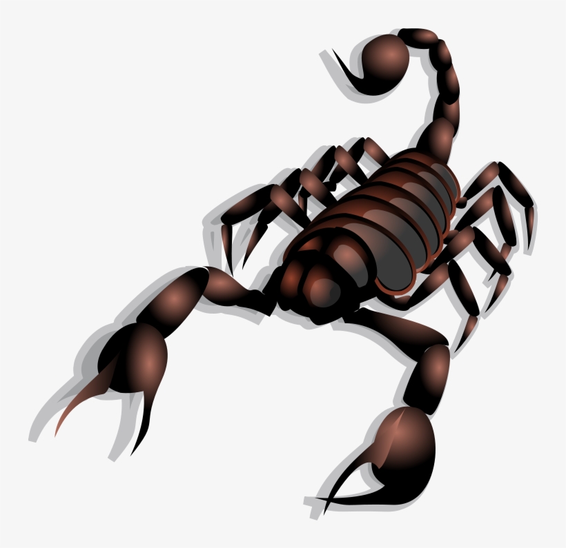 Clip Art Lobster - Scorpion Clip Art, transparent png #196956