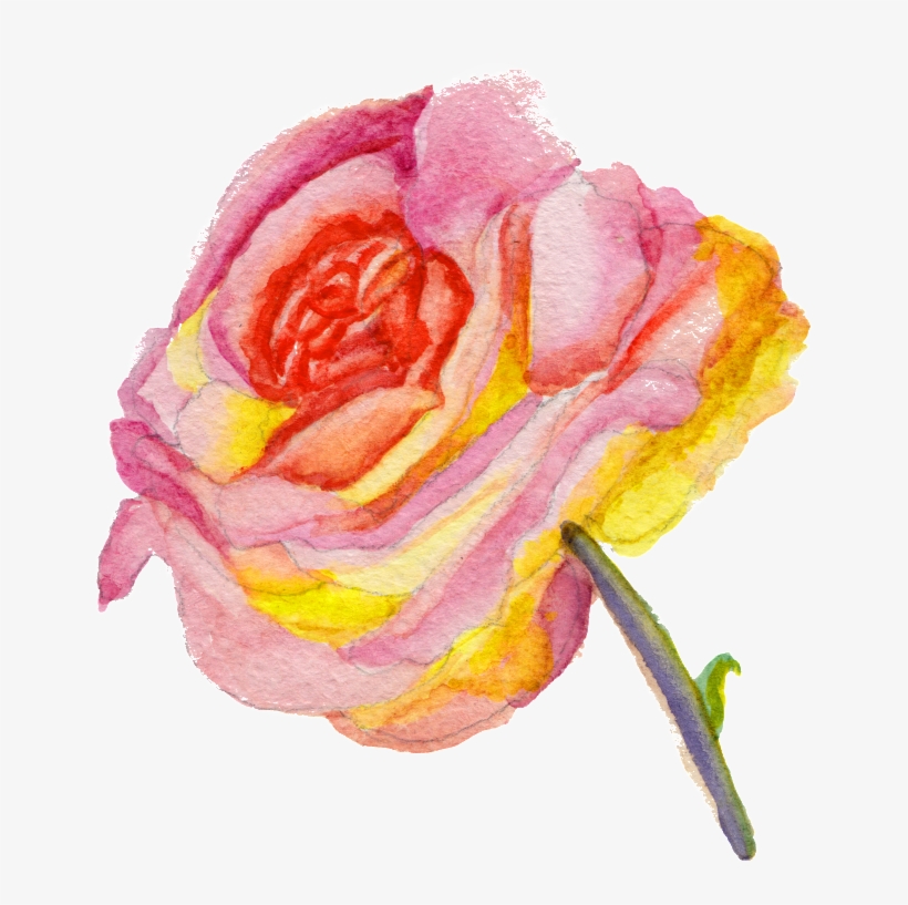 Transparent Ornament Material For Beautiful Fashion - Chalkboard Watercolor Roses Hysterectomy Humorous Get, transparent png #197458