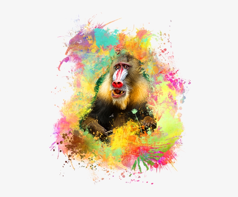 Click And Drag To Re-position The Image, If Desired - Gerahmtes Wandbild Mandrill, Fotodruck Big Box Art, transparent png #197521