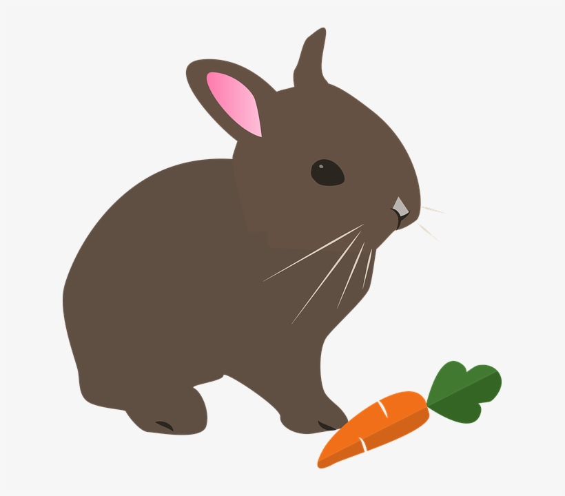 Bunny - Rabbits In Cartoon, transparent png #197564