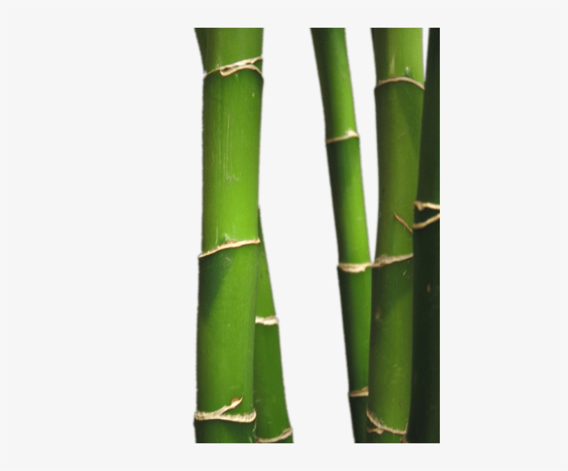 Bamboo Spa Png, transparent png #197798