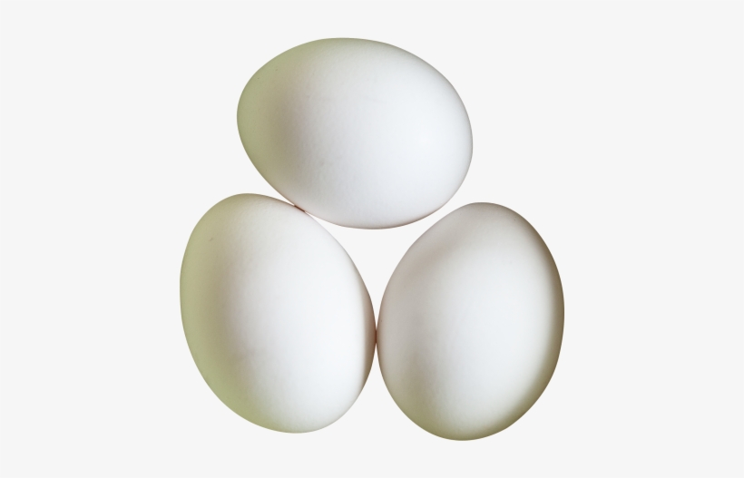 Eggs Png Transparent Image - Eggs Png, transparent png #198033