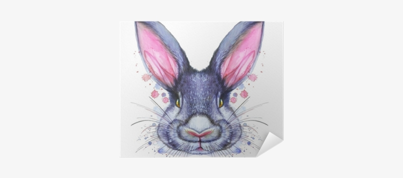 Painted Drawing With Watercolor Portrait Of An Animal - Kanin Tegning, transparent png #198330