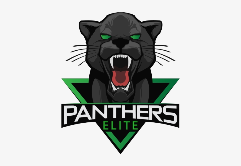 Team's Logo Panthers Elite - Panthers Esports Fifa, transparent png #199427