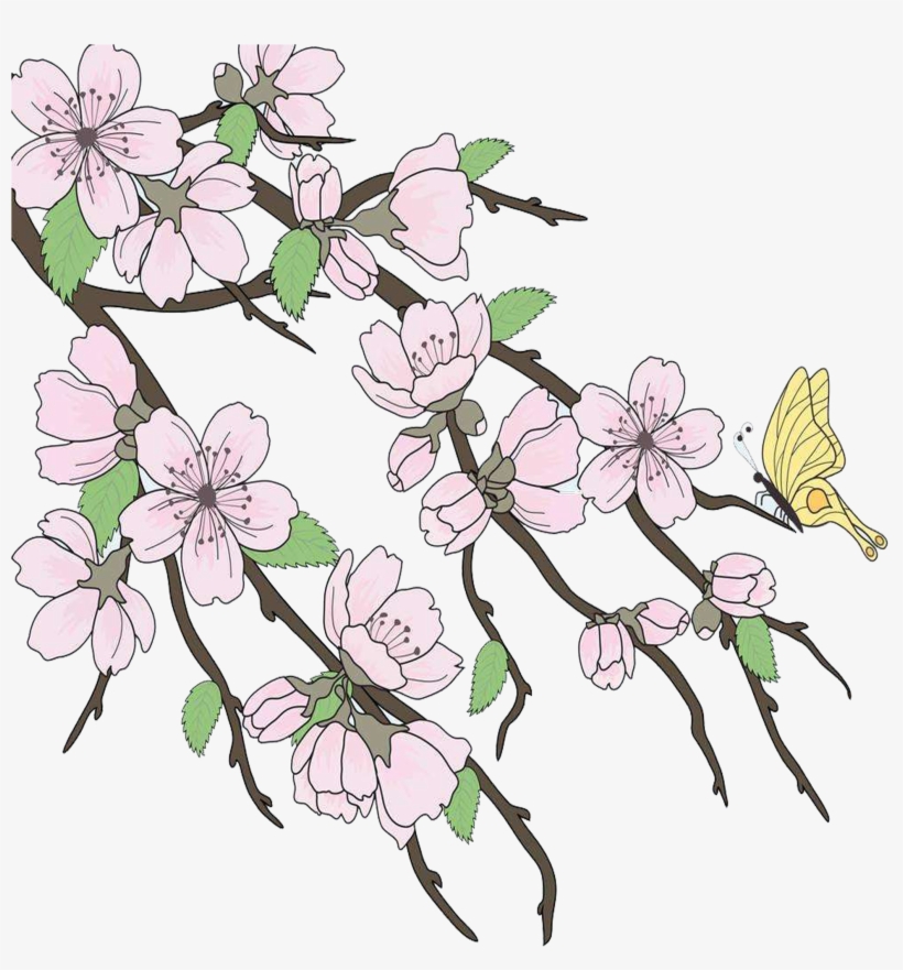 Cherry Blossom Drawing Branch - Beautiful Drawings Branch, transparent png #199690