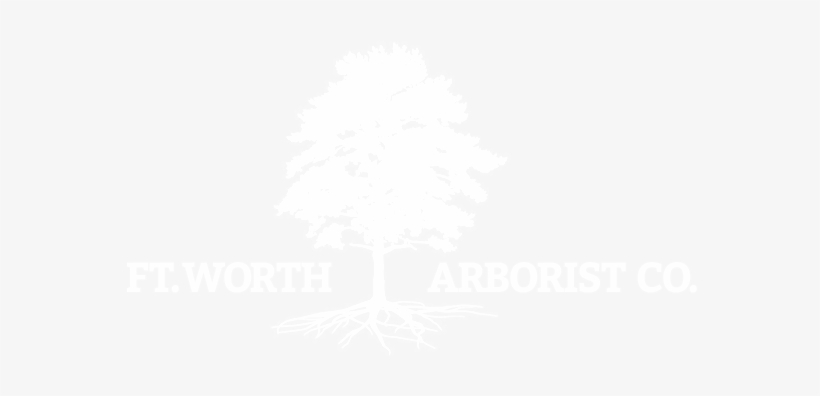 Review Us Fort Worth Arborist Co - Fort Worth Arborist Co., transparent png #199872