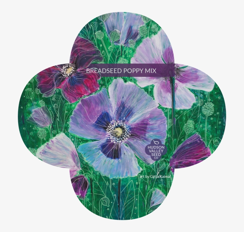 Seed, transparent png #1900164