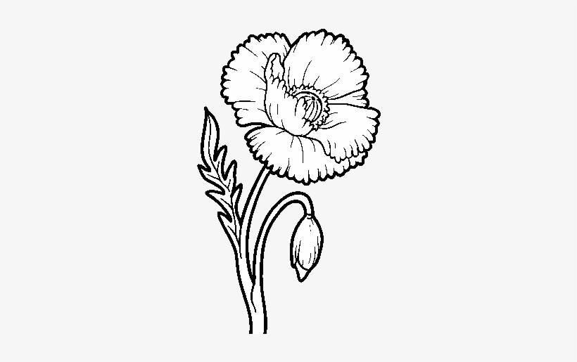 A Poppy Flower Coloring Page - Amapola Para Dibujar, transparent png #1900185