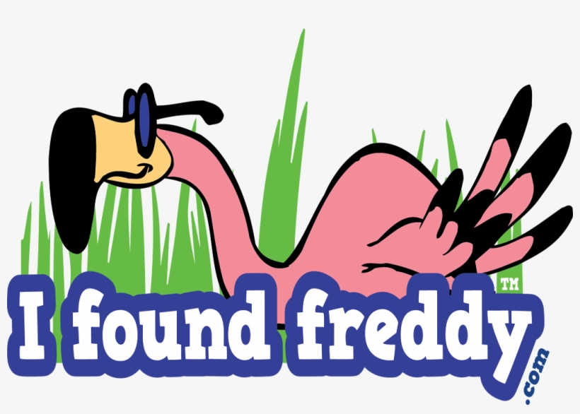 Found A Flamingo, transparent png #1902169