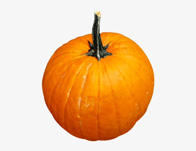 Free Png Pumpkin Png Images Transparent - Pumpkin Png, transparent png #1903931