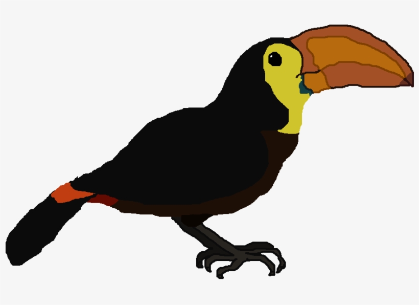Taylor's Toucan - Clip Art, transparent png #1904152