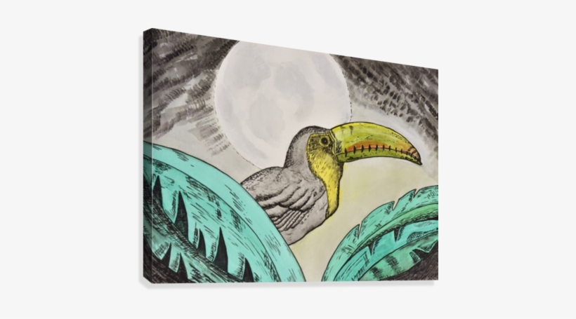 Toucan - Hornbill, transparent png #1904416
