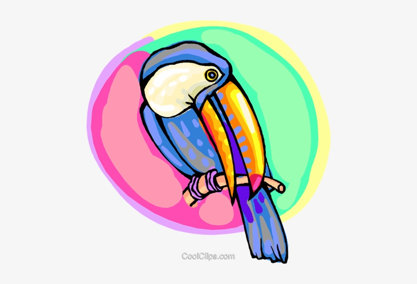 Toucan On A Branch Royalty Free Vector Clip Art Illustration, transparent png #1904481
