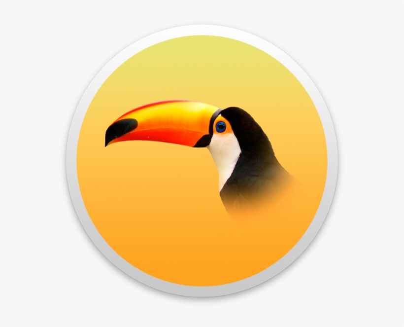 Toucan, transparent png #1904487