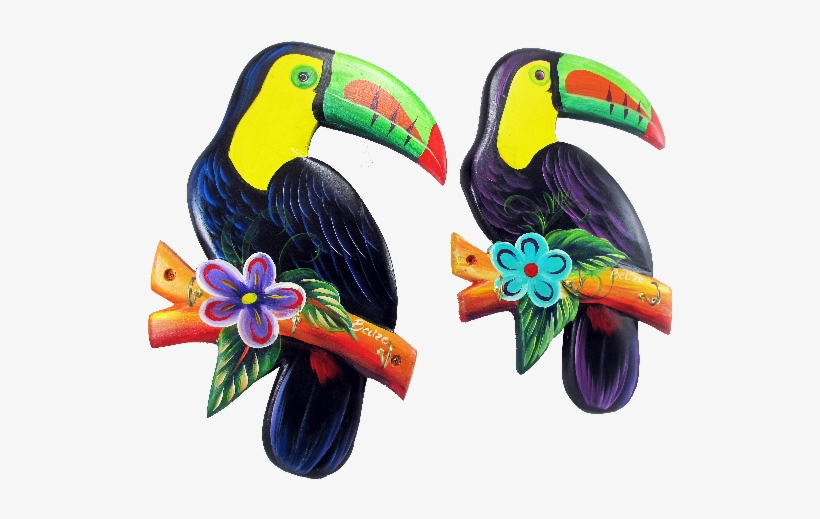 Toucan, transparent png #1904520