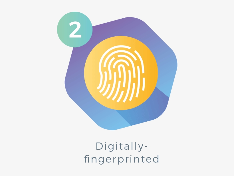 Circle, transparent png #1905028